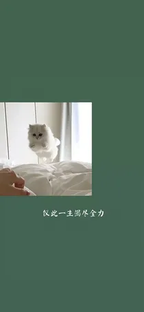tfboys之现实中的幻想想