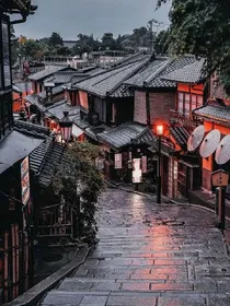 三生三世菩提缘