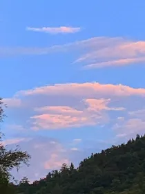 贪晌旧欢