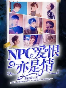 NPC爱恨亦是情