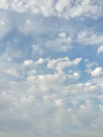 陈情令——三生水