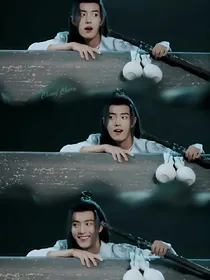 陈情令:无殇