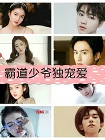 霸道少爷独宠爱