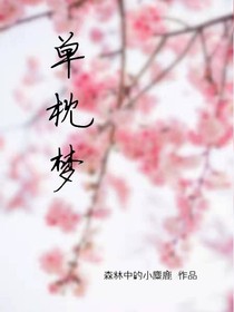 单枕梦