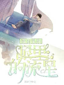我看见你眼里的流星