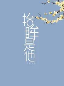 抬眸是他.