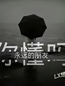 许清风明月不在孤独