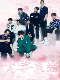 NPC之宠妻成瘾
