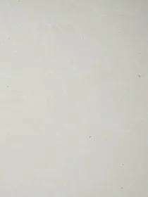 快穿之巡查使