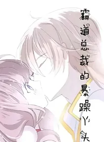 霸道总裁的暴躁丫头