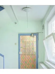 执着上心头