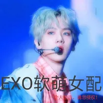 EXO软萌女配
