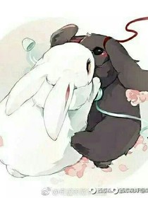 佟颜夫妇