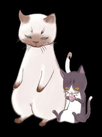 你喜欢我的猫？