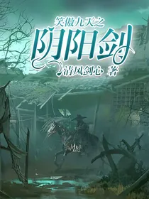 笑傲九天之阴阳剑