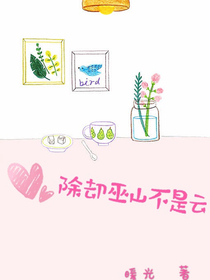 除却巫山不是云