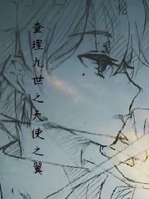 查理九世-天使之翼