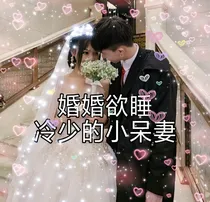 婚婚欲睡:冷少的小呆妻