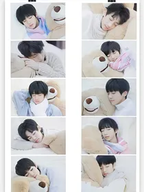 宠弟狂魔之TF家族