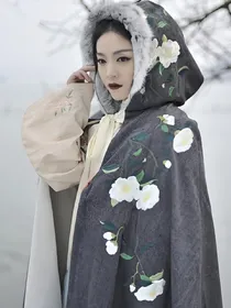 侠岚之碧婷