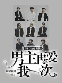 NPC快穿系统:男主再爱我一次