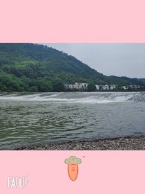 初恋……