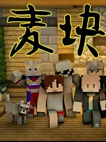 麦块外传
