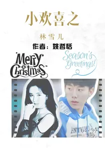 小欢喜之林雪儿