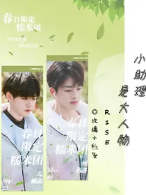 R1SE:小助理是大人物