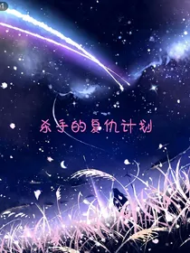 杀手的复仇计划