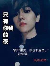 只有你我的夜