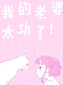 我的老婆太攻了！