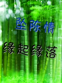 坠陈情，缘起缘落
