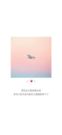 拂婉