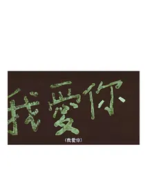 我爱她轰轰烈烈