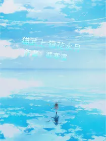 猫武士之镜花水月