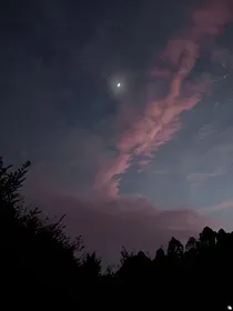 落尘恋