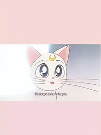 心动百分百.jc