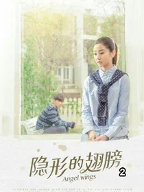 隐形的翅膀第二部
