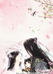 冷面王爷霸道妃