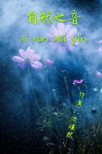 自然之音