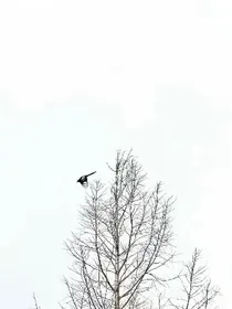 致——我们的故事