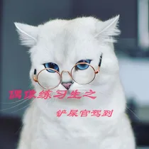 范丞丞之铲屎官驾到