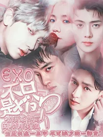 EXO：不只是喜欢