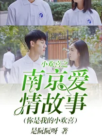 小欢喜之南京爱情故事（你是我的小欢喜）