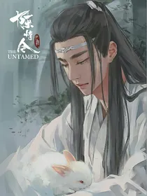 陈情令：四海为他——d349