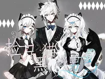 捡只黑猫当男票