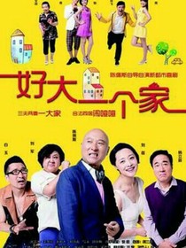 好大一个家