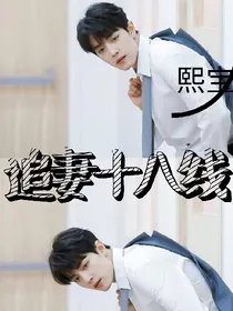 追妻十八线