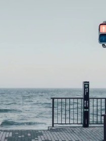 金枝栖月